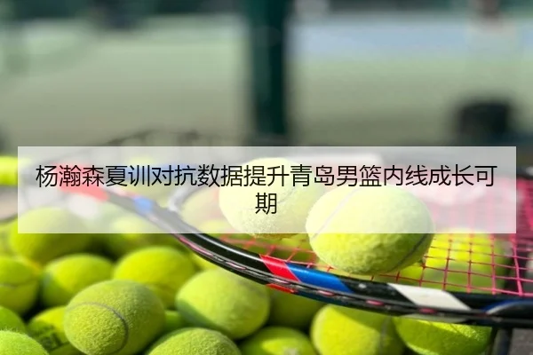 杨瀚森夏训对抗数据提升青岛男篮内线成长可期